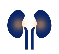 nephrology