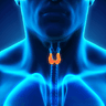 Thyroid